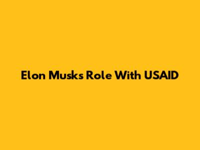 Elon Musk's Role With USAID