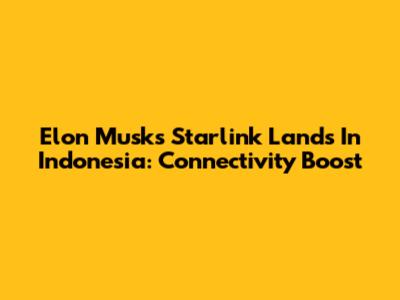 Elon Musk's Starlink Lands In Indonesia: Connectivity Boost