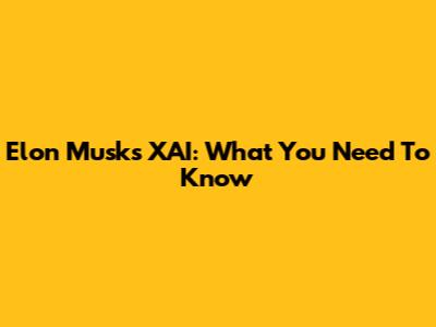 Elon Musk's XAI: What You Need To Know