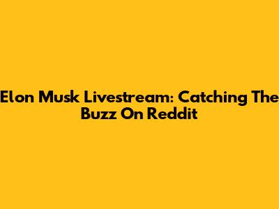 Elon Musk Livestream: Catching The Buzz On Reddit