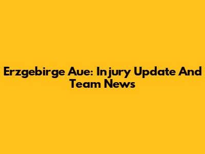 Erzgebirge Aue: Injury Update And Team News
