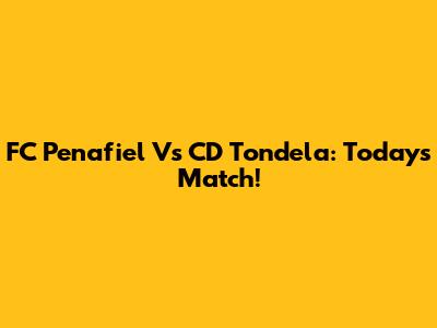FC Penafiel Vs CD Tondela: Today's Match!