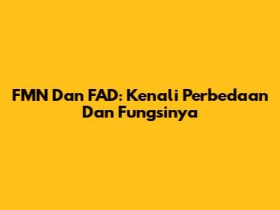 FMN Dan FAD: Kenali Perbedaan Dan Fungsinya
