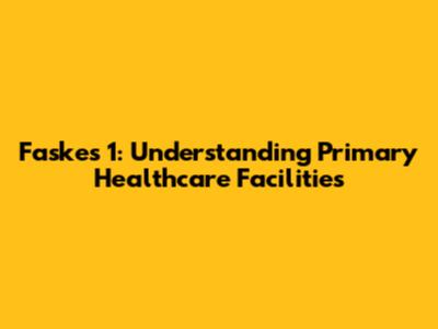 Faskes 1: Understanding Primary Healthcare Facilities