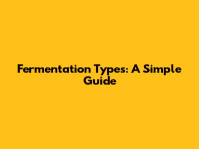 Fermentation Types: A Simple Guide