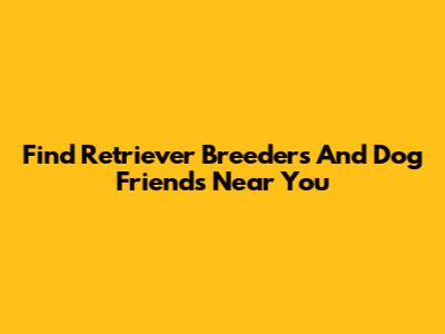 Find Retriever Breeders And Dog Friends Near You