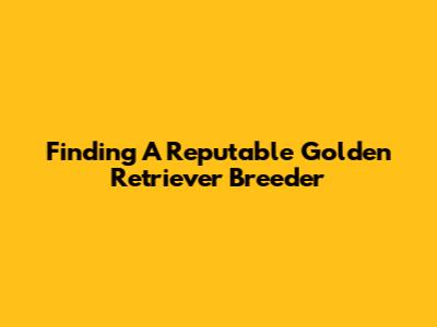 Finding A Reputable Golden Retriever Breeder