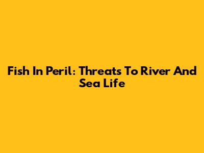 Fish In Peril: Threats To River And Sea Life
