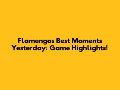 Flamengo's Best Moments Yesterday: Game Highlights!