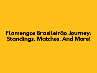 Flamengo's Brasileirão Journey: Standings, Matches, And More!