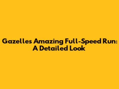Gazelle's Amazing Full-Speed Run: A Detailed Look