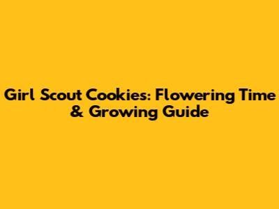 Girl Scout Cookies: Flowering Time & Growing Guide
