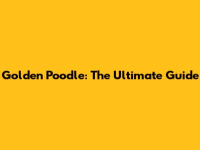 Golden Poodle: The Ultimate Guide