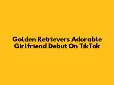 Golden Retriever's Adorable Girlfriend Debut On TikTok