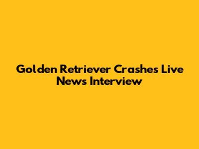 Golden Retriever Crashes Live News Interview