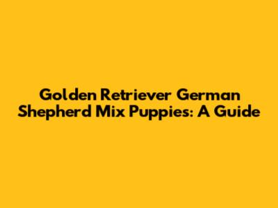 Golden Retriever German Shepherd Mix Puppies: A Guide