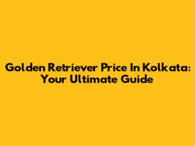 Golden Retriever Price In Kolkata: Your Ultimate Guide
