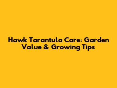 Hawk Tarantula Care: Garden Value & Growing Tips