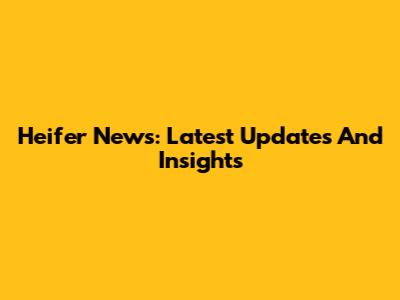 Heifer News: Latest Updates And Insights