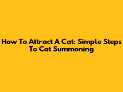 How To Attract A Cat: Simple Steps To Cat Summoning