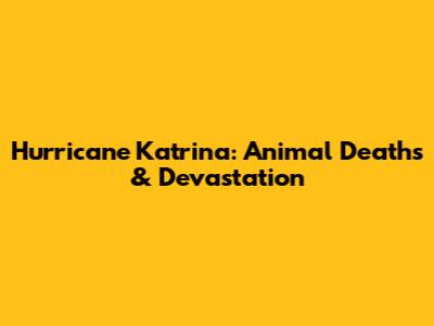 Hurricane Katrina: Animal Deaths & Devastation