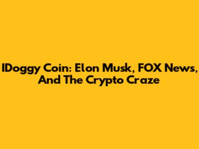 IDoggy Coin: Elon Musk, FOX News, And The Crypto Craze
