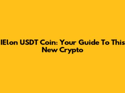 IElon USDT Coin: Your Guide To This New Crypto