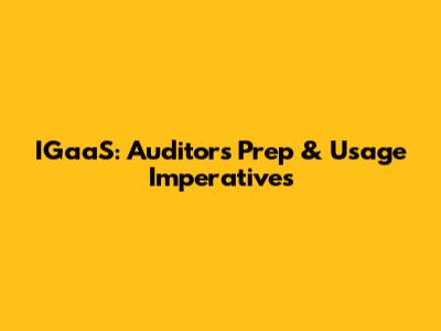 IGaaS: Auditor's Prep & Usage Imperatives