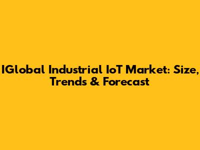 IGlobal Industrial IoT Market: Size, Trends & Forecast