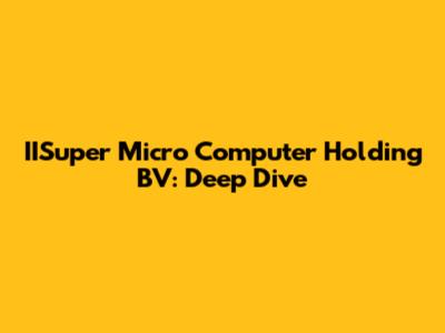IISuper Micro Computer Holding BV: Deep Dive