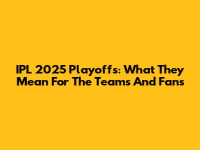 IPL 2025 Playoffs: What They Mean For The Teams And Fans