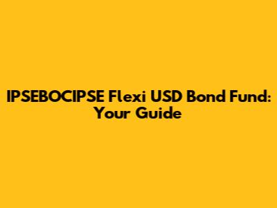 IPSEBOCIPSE Flexi USD Bond Fund: Your Guide