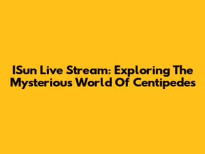 ISun Live Stream: Exploring The Mysterious World Of Centipedes