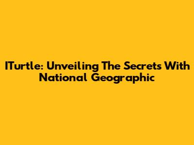 ITurtle: Unveiling The Secrets With National Geographic
