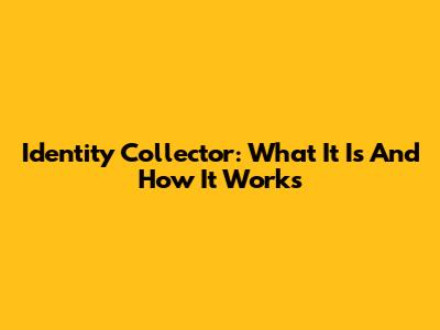 Identity Collector: What It Is And How It Works