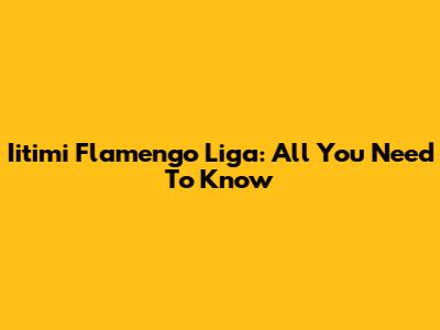 Iitimi Flamengo Liga: All You Need To Know