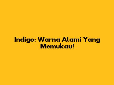 Indigo: Warna Alami Yang Memukau!