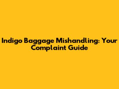 Indigo Baggage Mishandling: Your Complaint Guide
