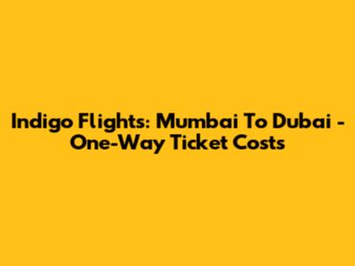 Indigo Flights: Mumbai To Dubai - One-Way Ticket Costs