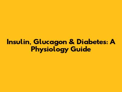 Insulin, Glucagon & Diabetes: A Physiology Guide