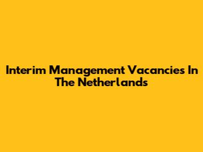 Interim Management Vacancies In The Netherlands