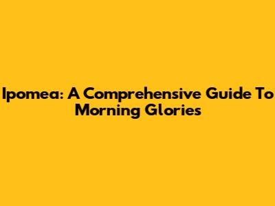 Ipomea: A Comprehensive Guide To Morning Glories