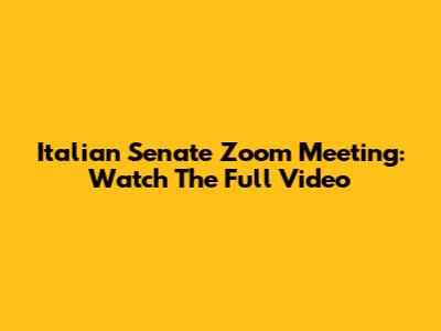 Italian Senate Zoom Meeting: Watch The Full Video