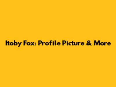 Itoby Fox: Profile Picture & More