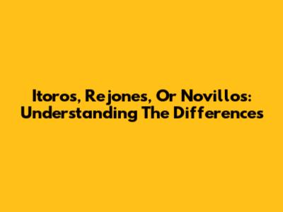 Itoros, Rejones, Or Novillos: Understanding The Differences