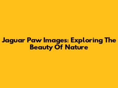 Jaguar Paw Images: Exploring The Beauty Of Nature