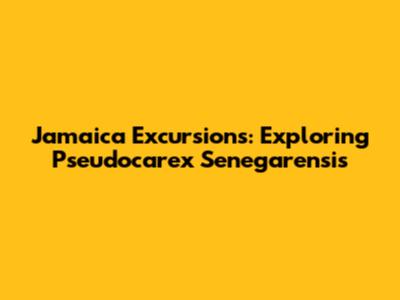 Jamaica Excursions: Exploring "Pseudocarex Senegarensis"