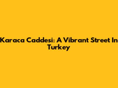 Karaca Caddesi: A Vibrant Street In Turkey