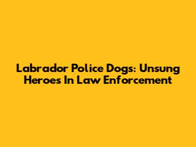 Labrador Police Dogs: Unsung Heroes In Law Enforcement