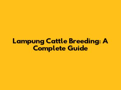Lampung Cattle Breeding: A Complete Guide